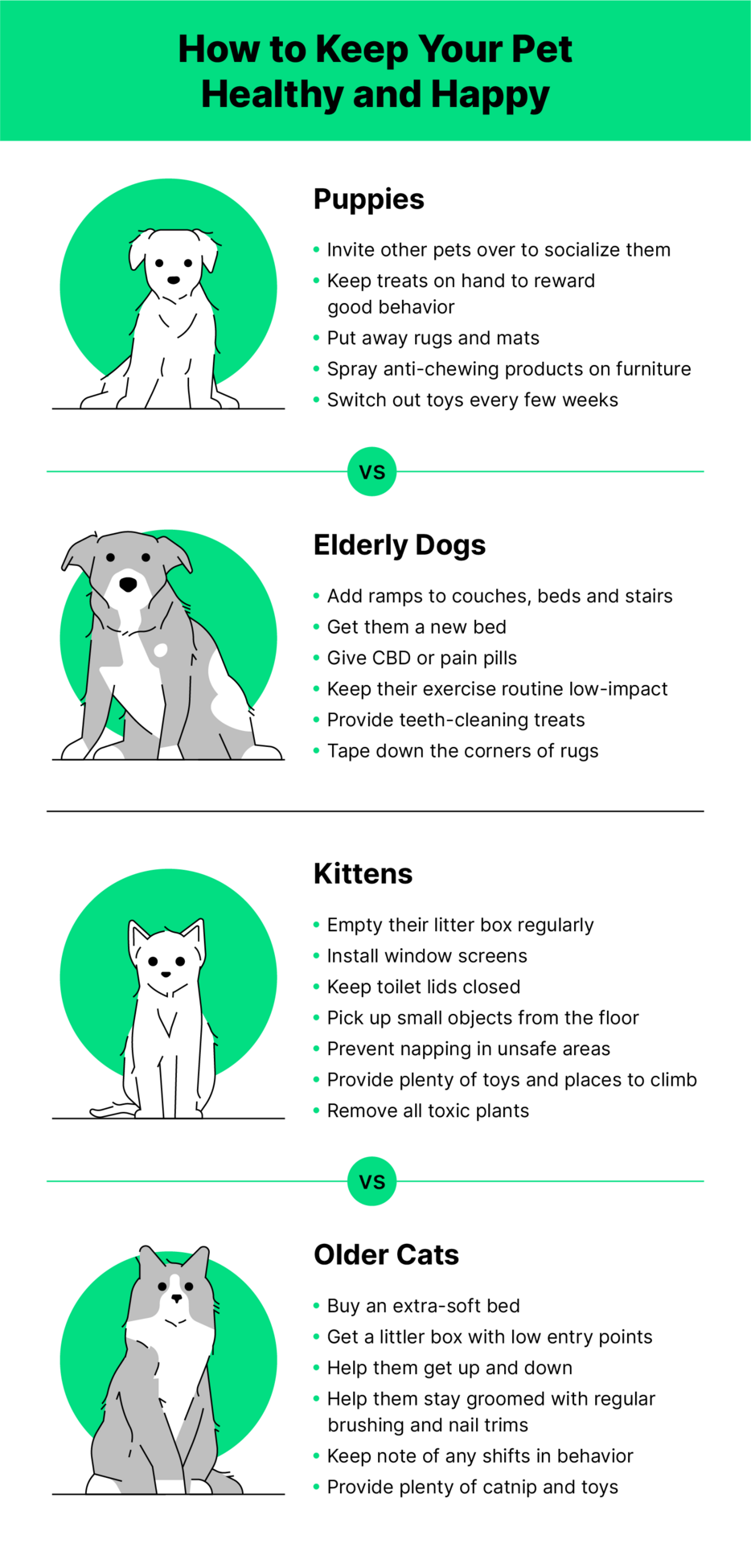 Illustrations of puppies, dogs, kittens and cats with tips