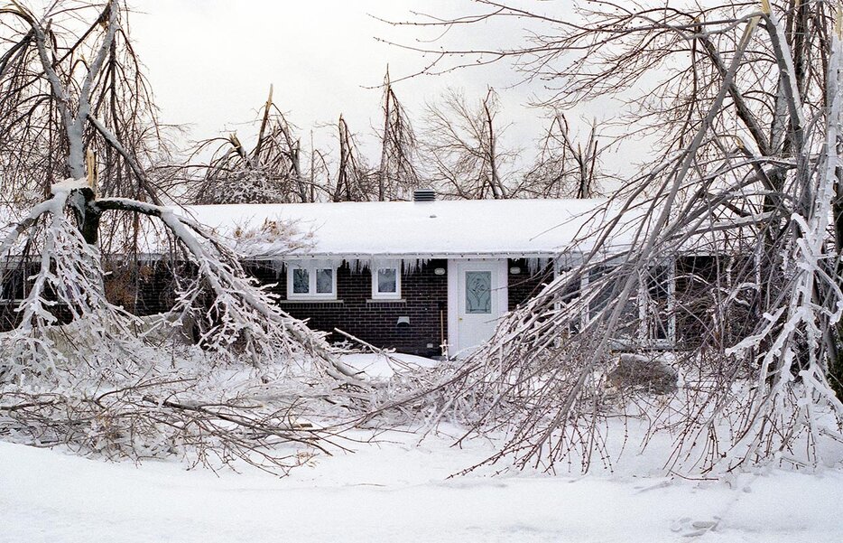 black house surrounded by snow and trees with overgrown branches