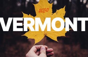 Hippo launches in Vermont