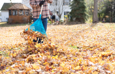 homeowner raking leaves on their property