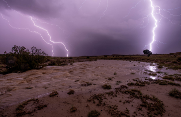Hippo’s Tippos for Monsoon Season