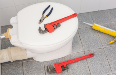 Hippo's Tippos on How to Fix Your Toilet